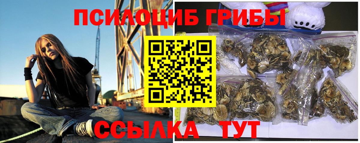 Псилоцибиновые грибы мицелий Приморско-Ахтарск