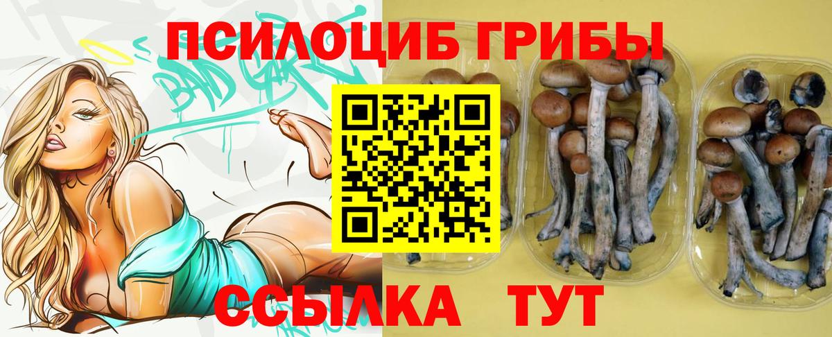 Псилоцибиновые грибы мицелий  Вход с VPN  Приморско-Ахтарск 